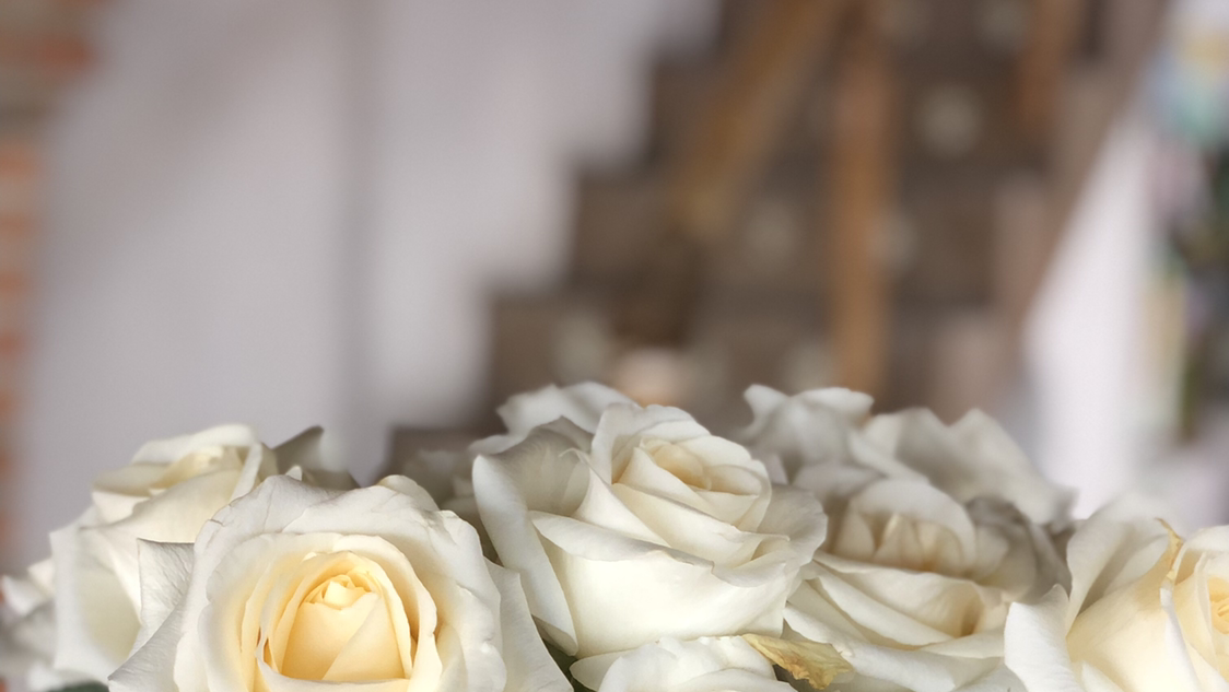 Dave Johnson Interiors - Interior Designer in Dallas, Texas | Portfolio & Reviews